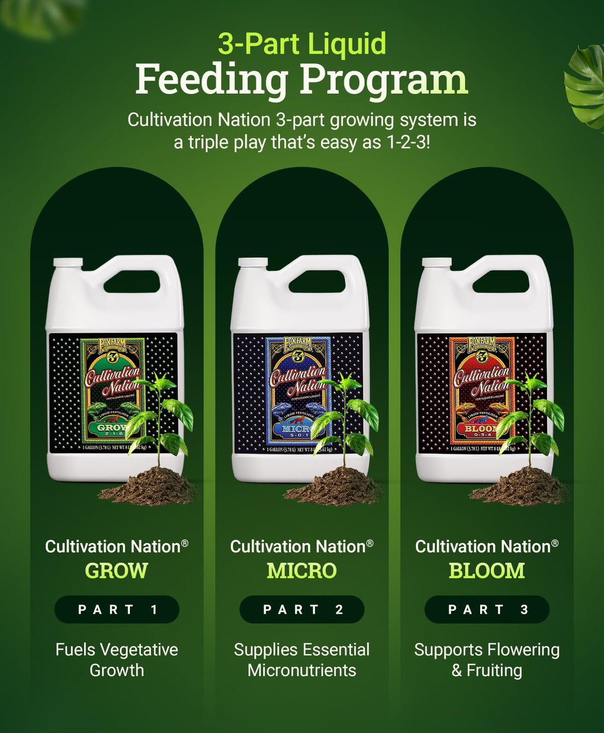 FoxFarm Cultivation Nation Bloom Liquid Plant Food