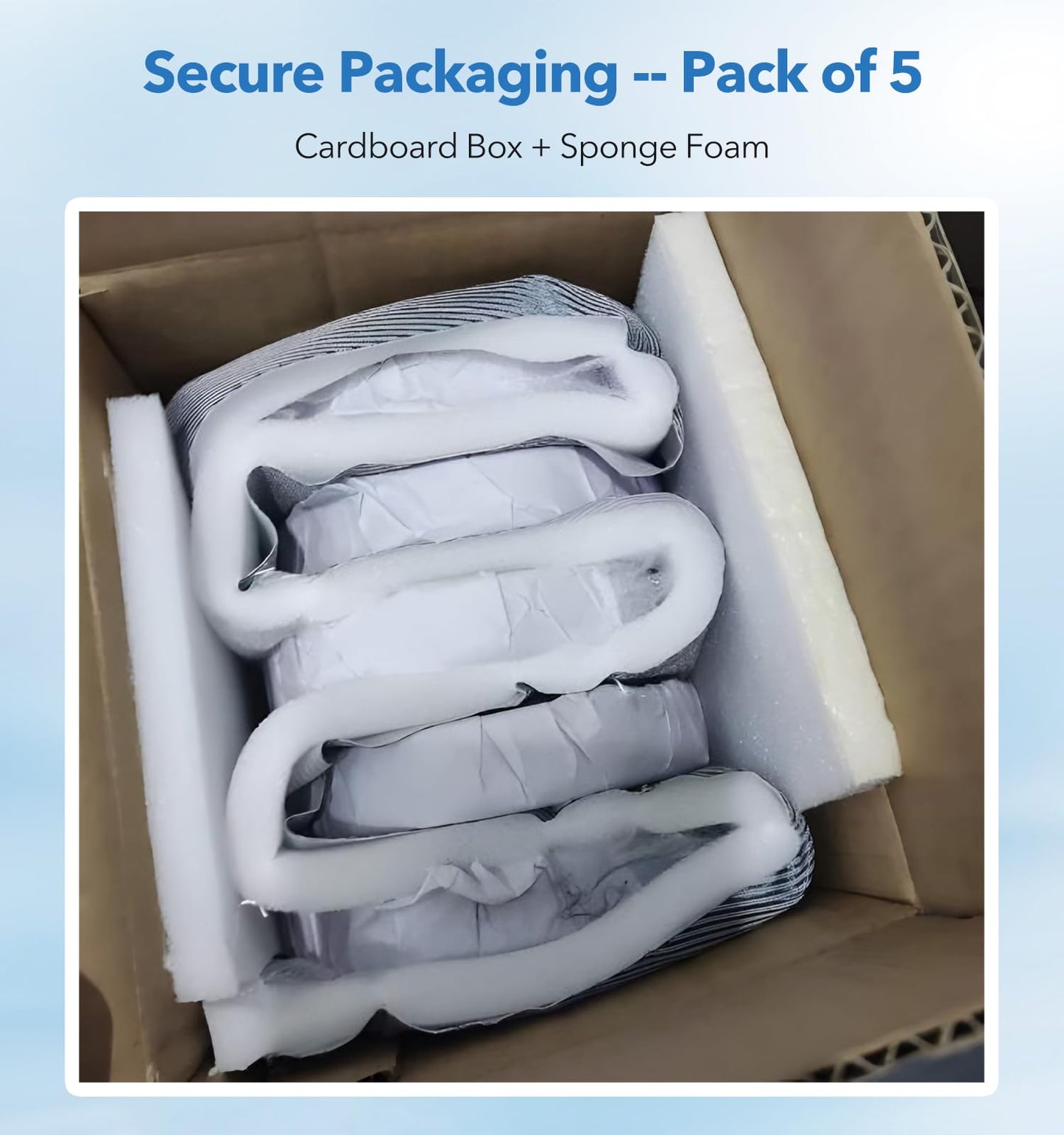 FOUR E'S SCIENTIFIC 60mm Glass Petri Dishes with Lids, High Borosilicate Glass Culture Dishes for Laboratory, Science Project, School, Pack of 5