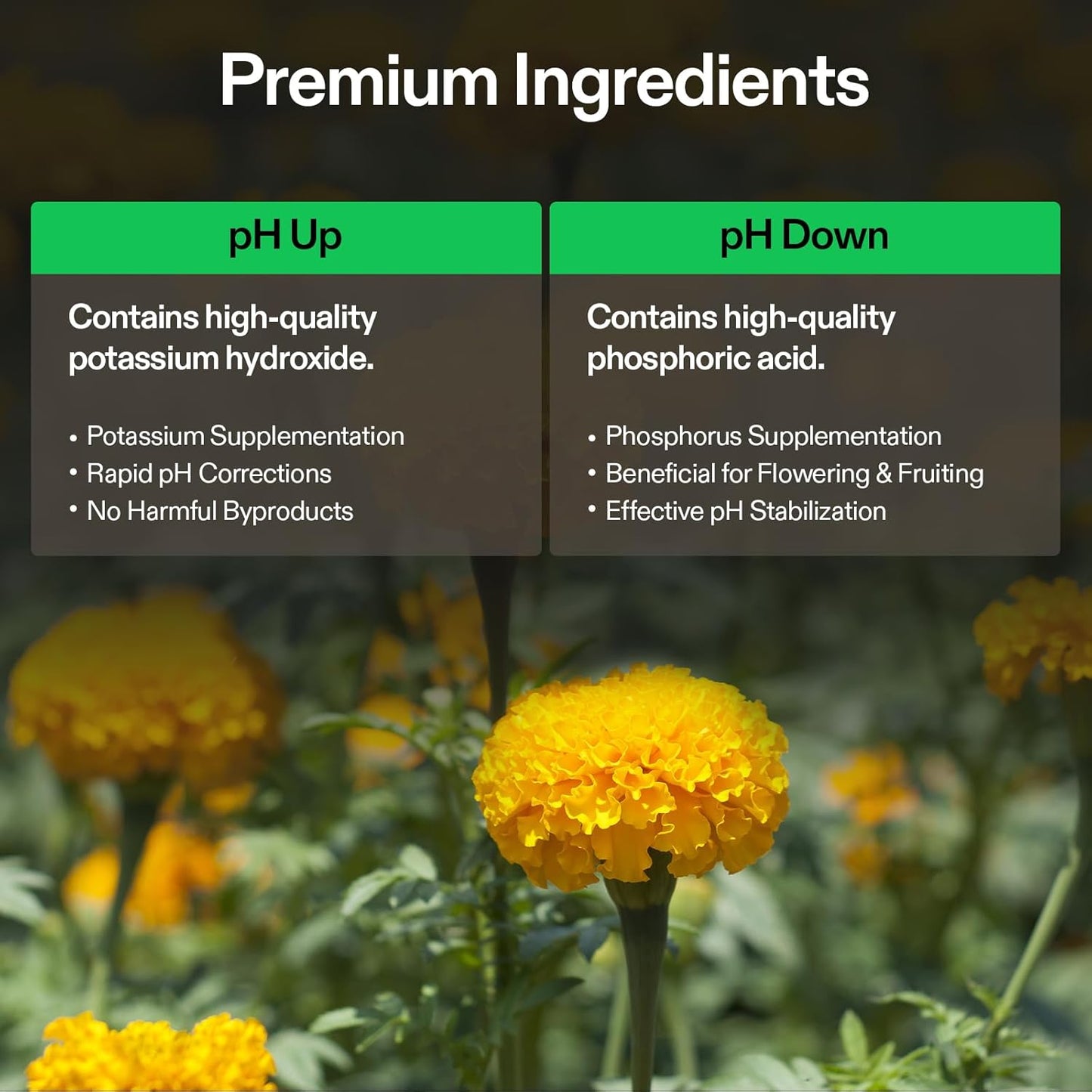 VIVOSUN pH Up & pH Down Kit, 1 Quart Each, pH Control Kit for Balanced pH Level and Optimal Nutrient Uptake, pH Adjuster Liquid Fertilizer for All Plants and All Growing Systems