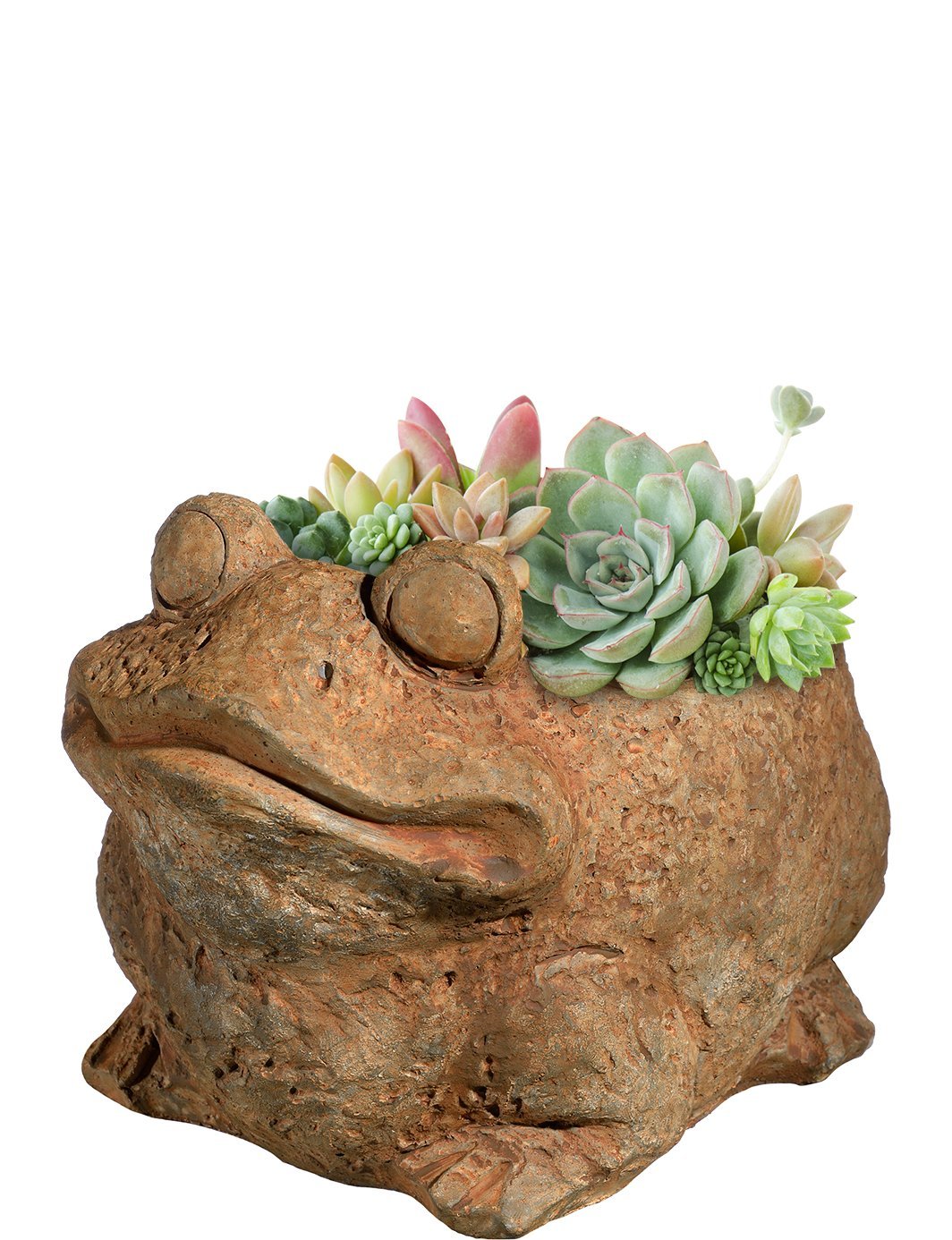 Classic Home and Garden Cement Buddies Animal Planter - Cute Desk Decoration - UV Coated Animal Vase w/Removable Drain Plug - Succulent Planter for Indoor/Outdoor Use (Bird Planter, Rust, Large)
