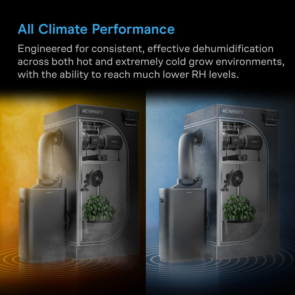AC Infinity HYDRONE Plant Dehumidifiers, Model Options