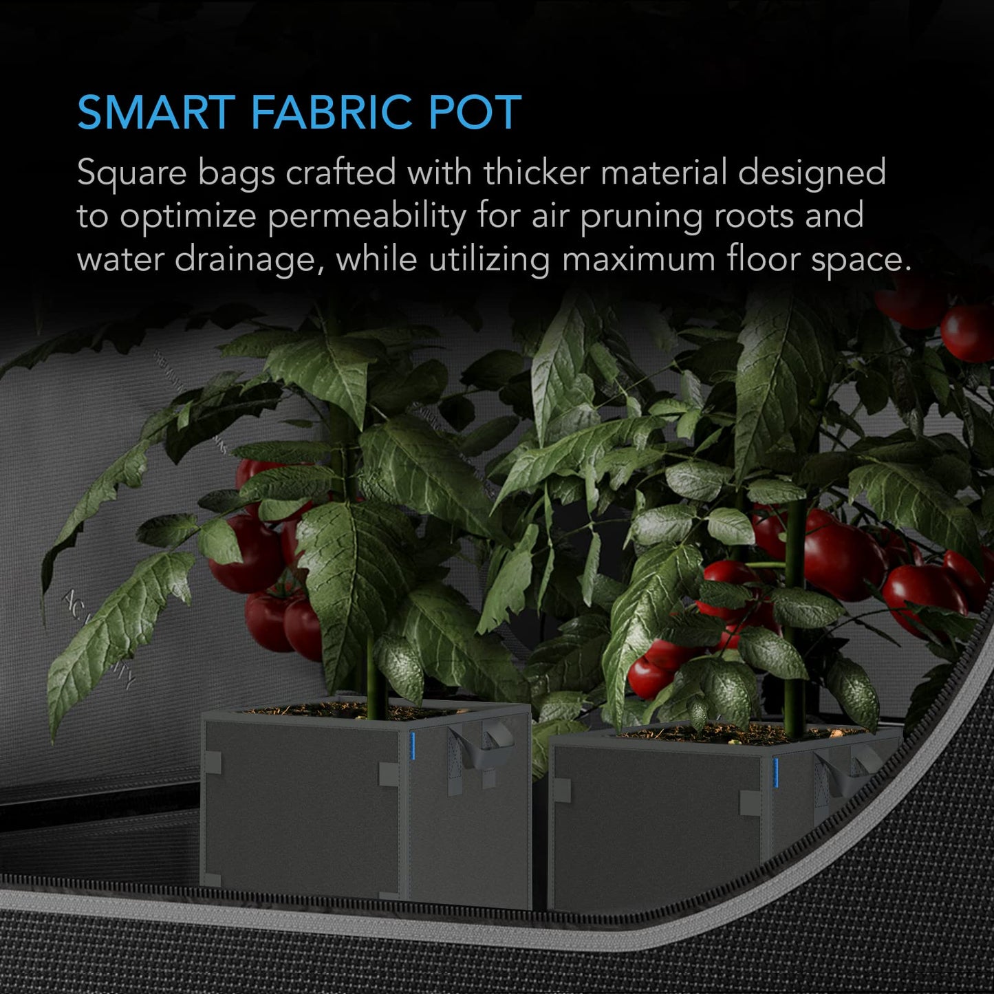 AC Infinity Square Heavy Duty Fabric Pots, 3 Gallon Aeration Reusable Grow Bags 5-Pack with 500G Thick Nonwoven Fabric and Plant Stake Loops, for Garden Growing Fruits, Vegetables, and Flowers