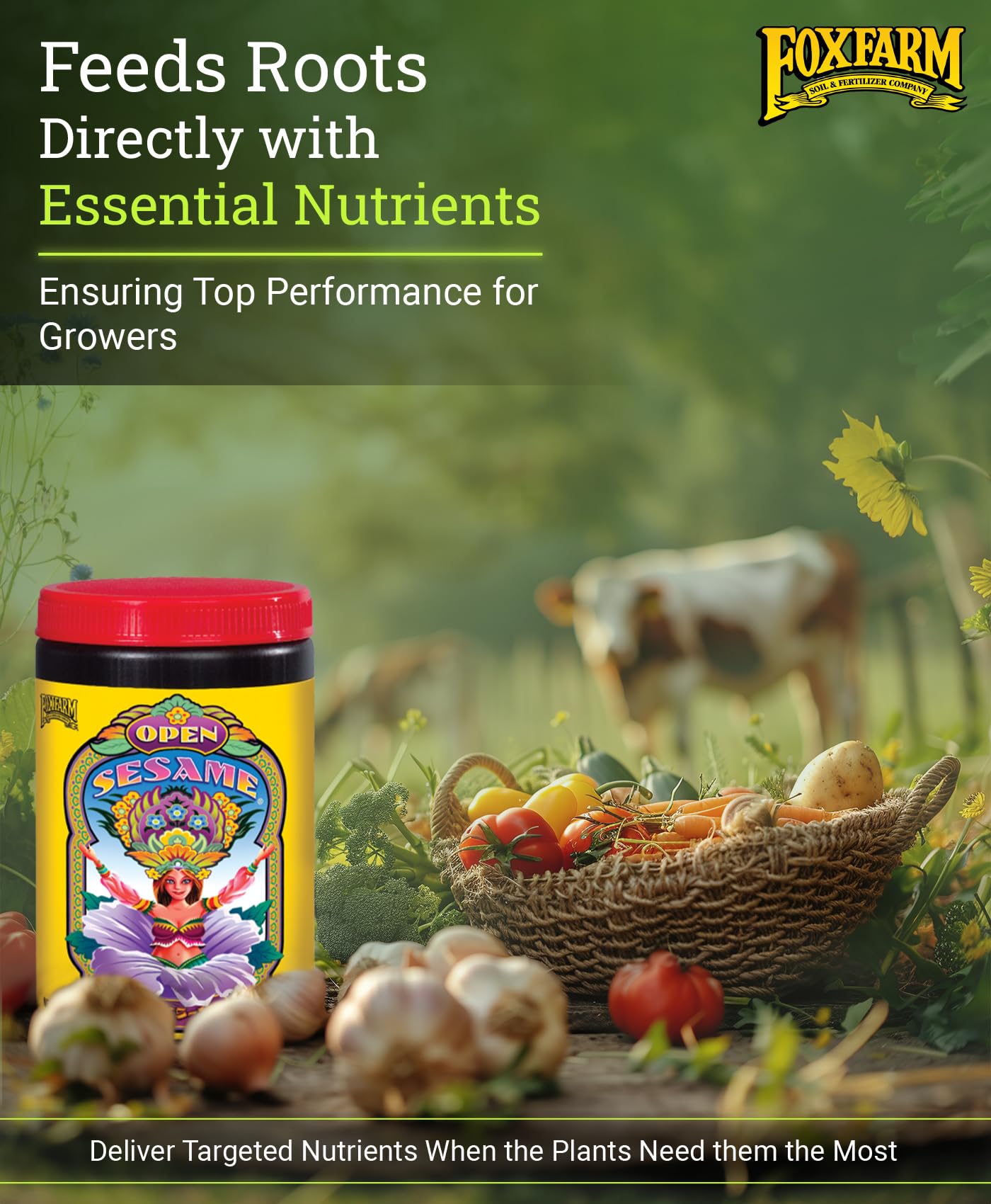 FoxFarm Open Sesame Soluble Fertilizer, High-Phosphorus Fertilizer for Early Blooming, pH Balanced - Supports Bud Development, NPK 5-45-19 (6 oz)