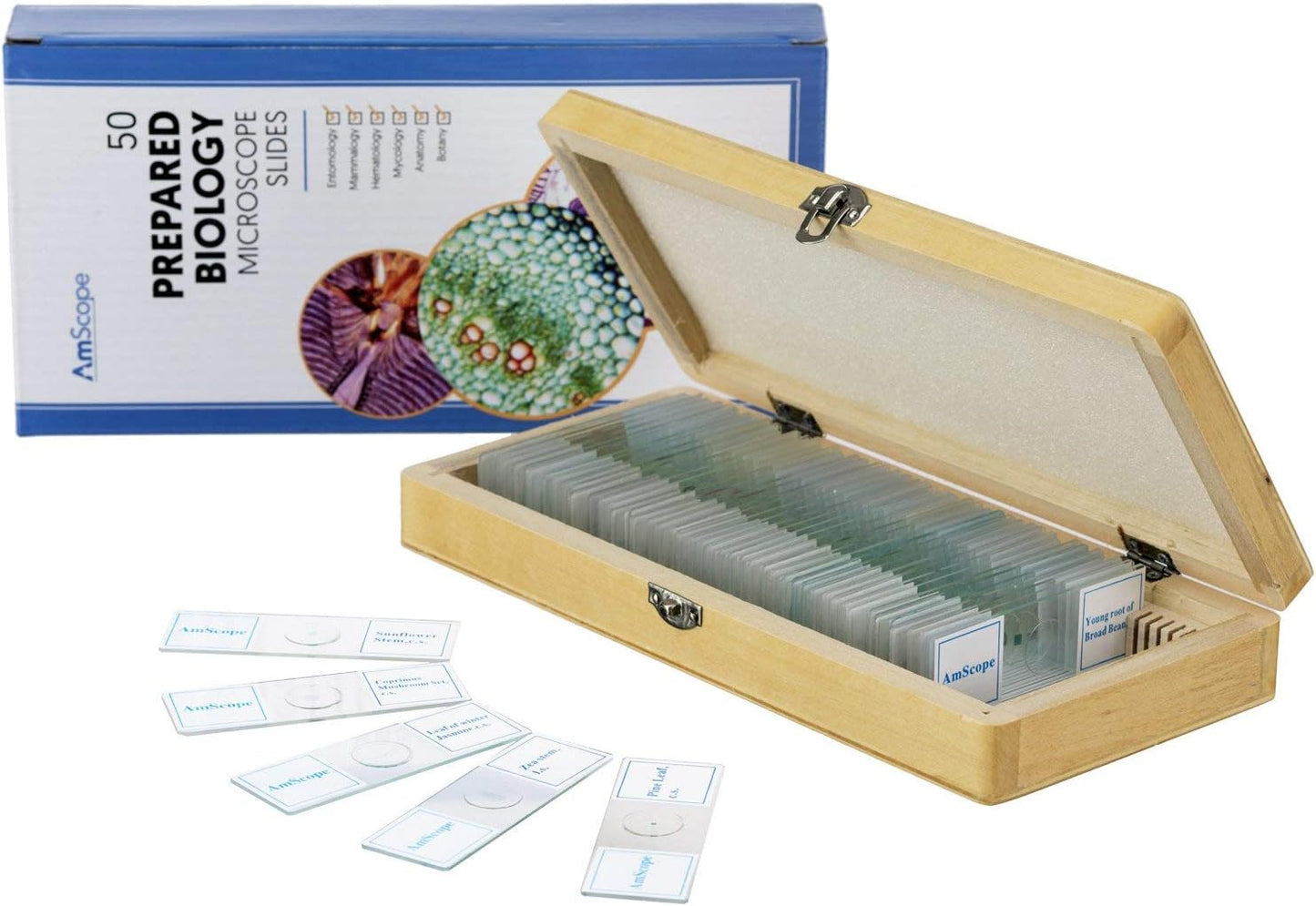 AmScope PS50 Prepared Microscope Slide Set for Basic Biological Science Education, 50 Slides, Includes Fitted Wooden Case