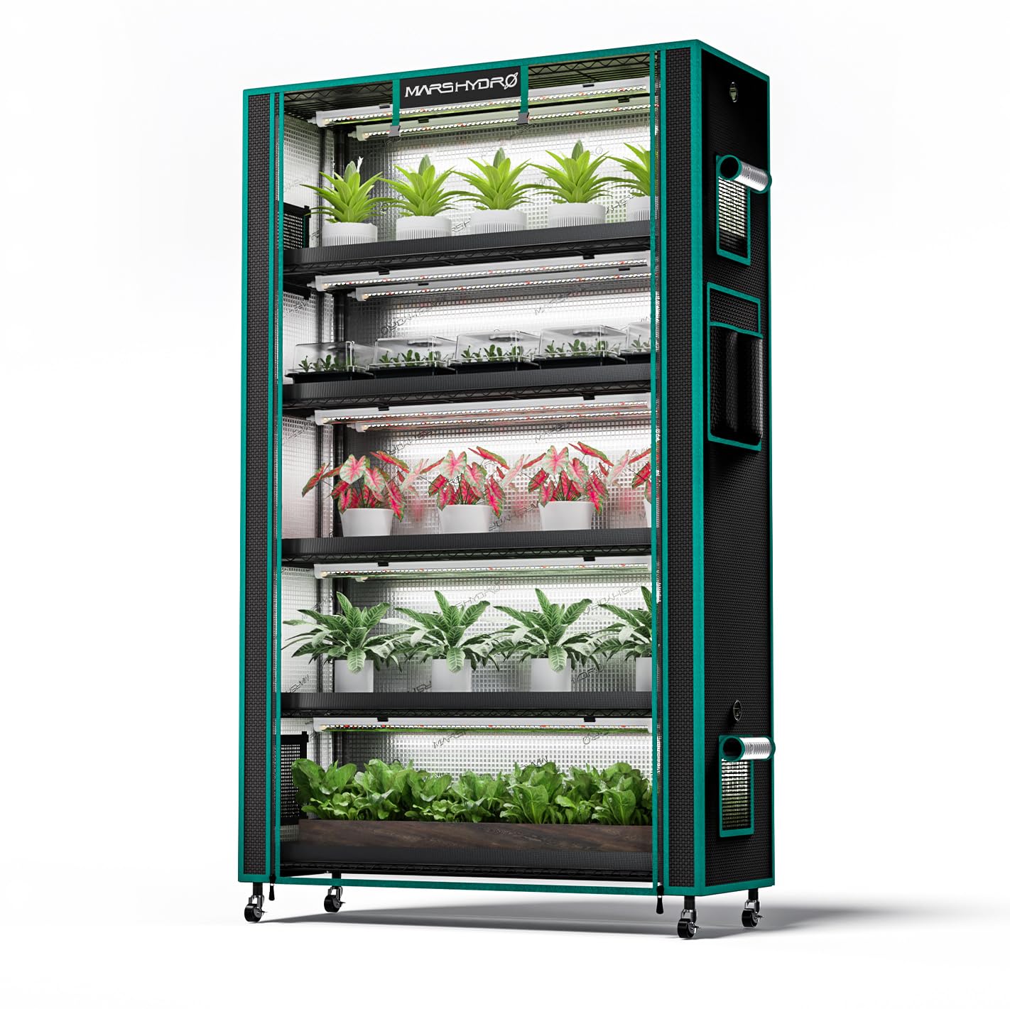 MARS HYDRO 2025 Plant Stand with Grow Lights,4-Tier Plant Shelf with 6 Full Spectrum LED Lamps (150W, 3ft) & Grow Tent | for Vegetables, Seedlings, Plant Growth | 5000K, 37×14×59''
