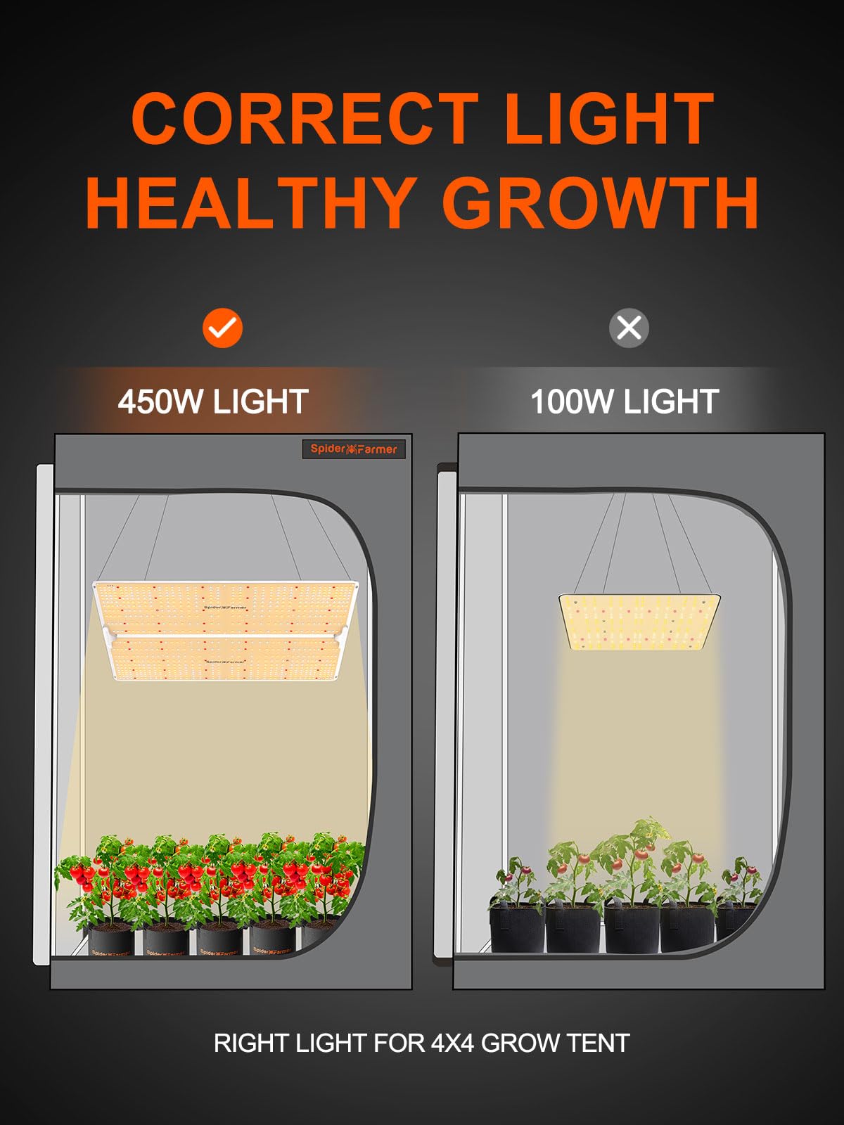 2024 Spider Farmer® 2x4 EVO Complete Grow Tent Kit SF2000 Samsung LM301H EVO & Dimmable Grow Tent Complete System 24" x 47" x 71" Growing Tent Set 4" Ventilation System &6'' Clip Fan