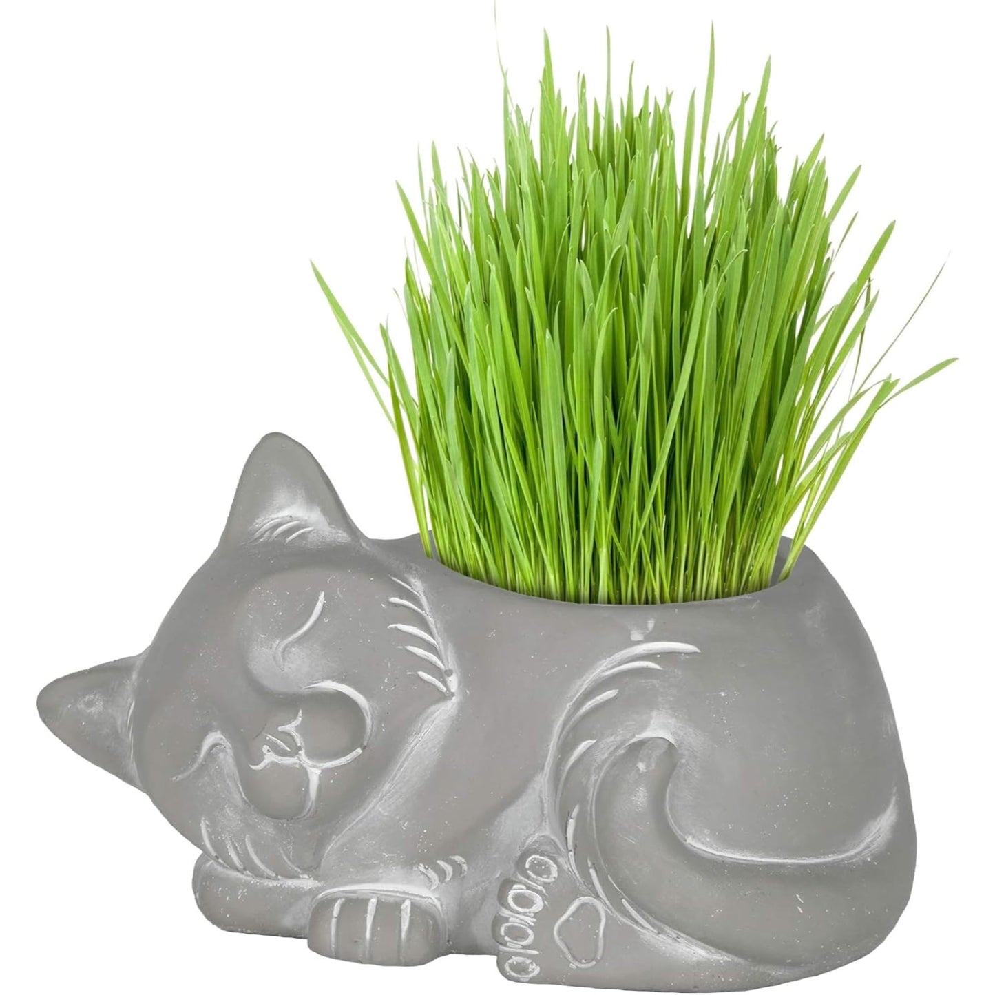 Classic Home and Garden Cement Buddies Animal Planter - Cute Desk Decoration - UV Coated Animal Vase w/Removable Drain Plug - Succulent Planter for Indoor/Outdoor Use (Bird Planter, Rust, Large)