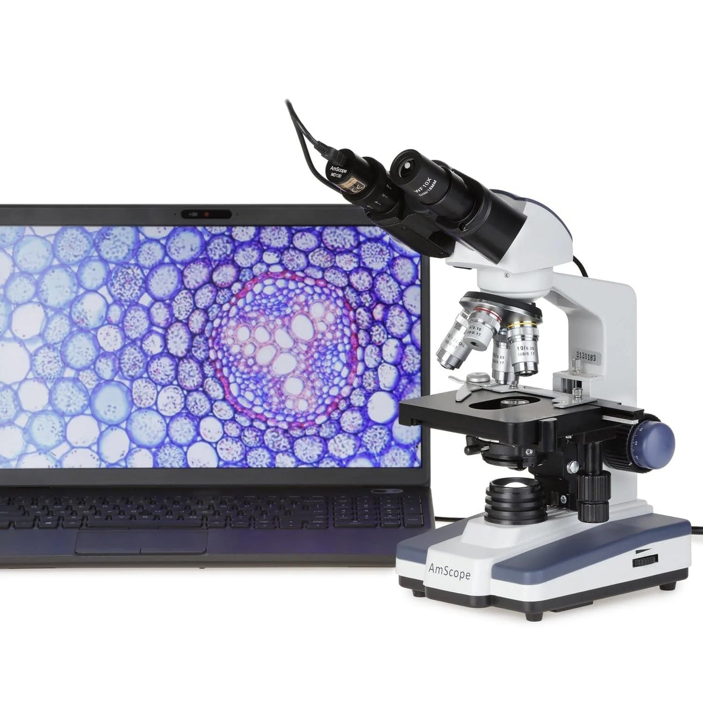 AmScope B120 Series Student & Professional LED Binocular Compound Microscope - 40X-2500X Magnification - Includes 5MP USB Camera & Siedentopf Head