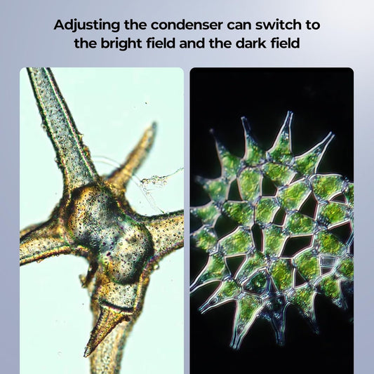Darkfield Microscope with Dust Cover