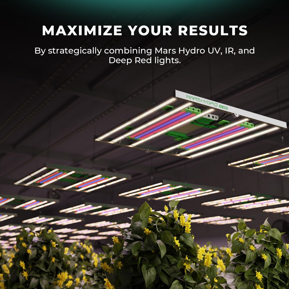 MARS HYDRO ADlite Supplemental Light Bar Sets, Spectrum Options