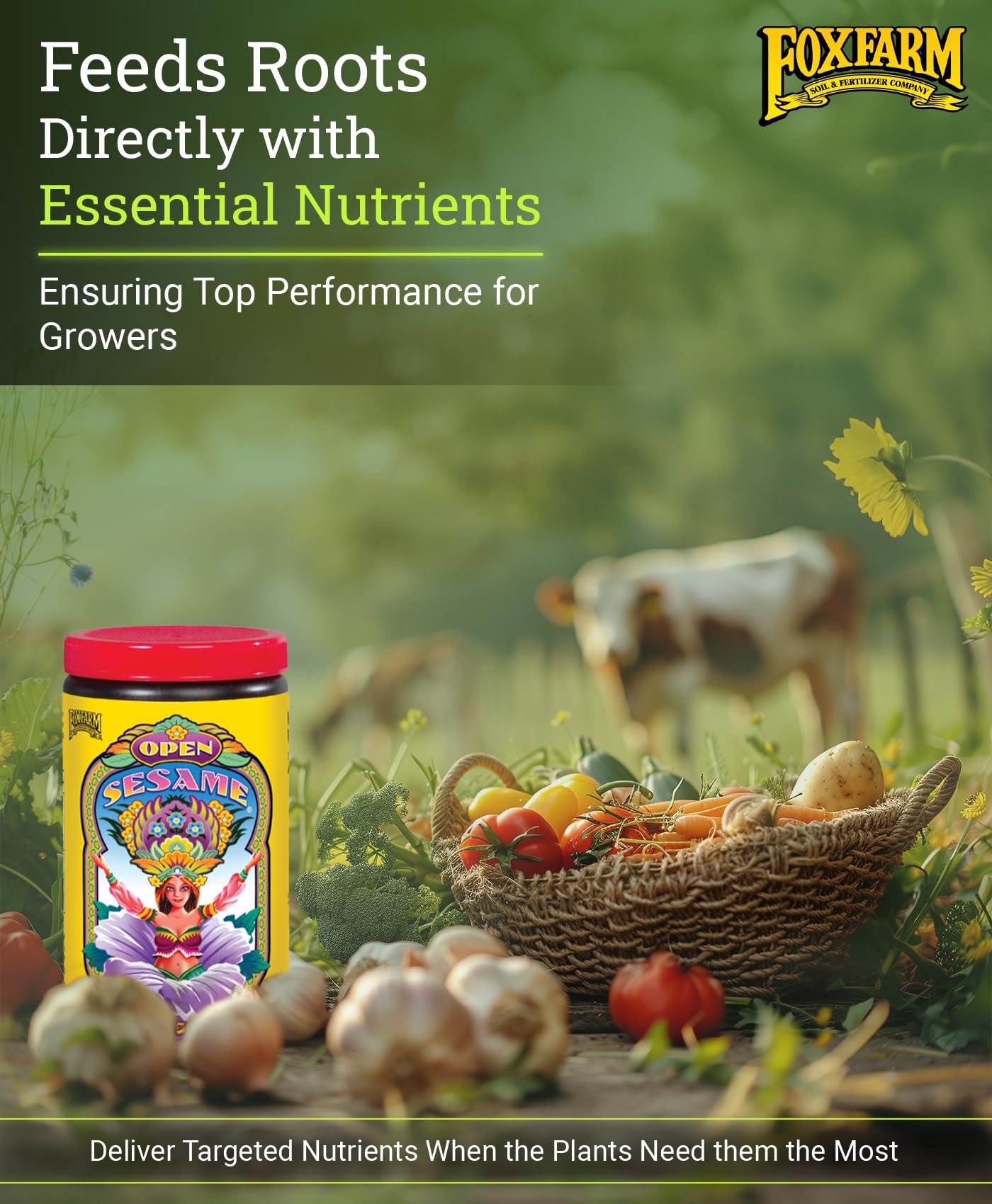 FoxFarm Open Sesame Soluble Fertilizer, High-Phosphorus Fertilizer for Early Blooming, pH Balanced - Supports Bud Development, NPK 5-45-19 (6 oz)