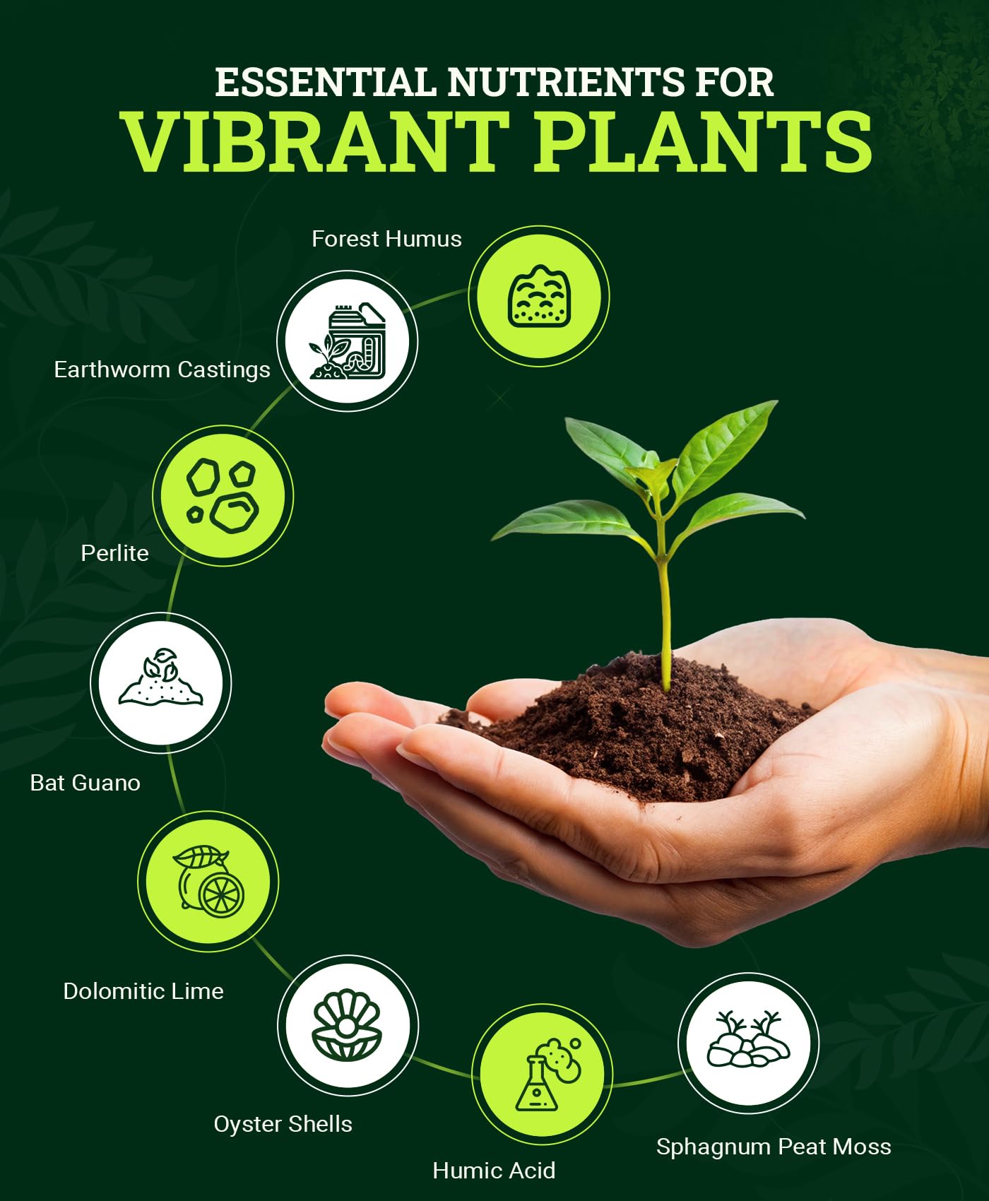 FoxFarm Happy Frog Potting Soil, 12qt – for Indoor/Outdoor Container Plants, Improves Root Efficiency, pH Adjusted for Optimal Nutrient Uptake – Contains Microbes and Humic Acids