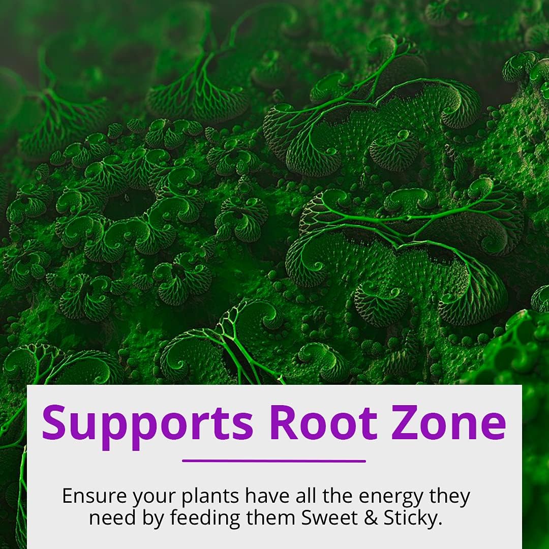 Humboldts Secret Sweet & Sticky – Carbohydrate and Saccharide Energy Source – Energy for Plants (1 Gal) w/Grow Room Glasses | Interchangeable Magnetic Sunglasses with UVA/UVB Blocking Protection