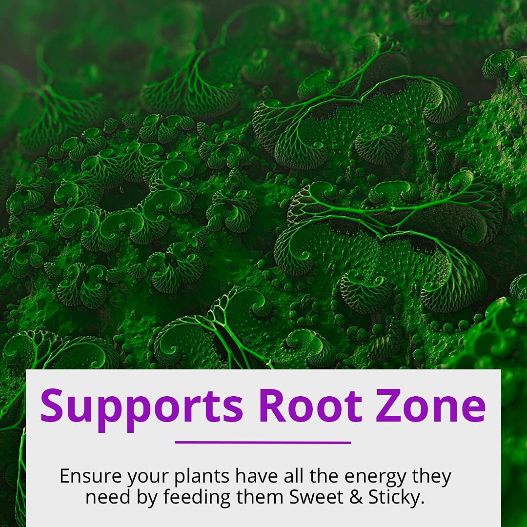 Humboldts Secret Sweet & Sticky – Carbohydrate and Saccharide Energy Source – Energy for Plants (8 oz) w/Grow Room Glasses | Interchangeable Magnetic Sunglasses with UVA/UVB Blocking Protection