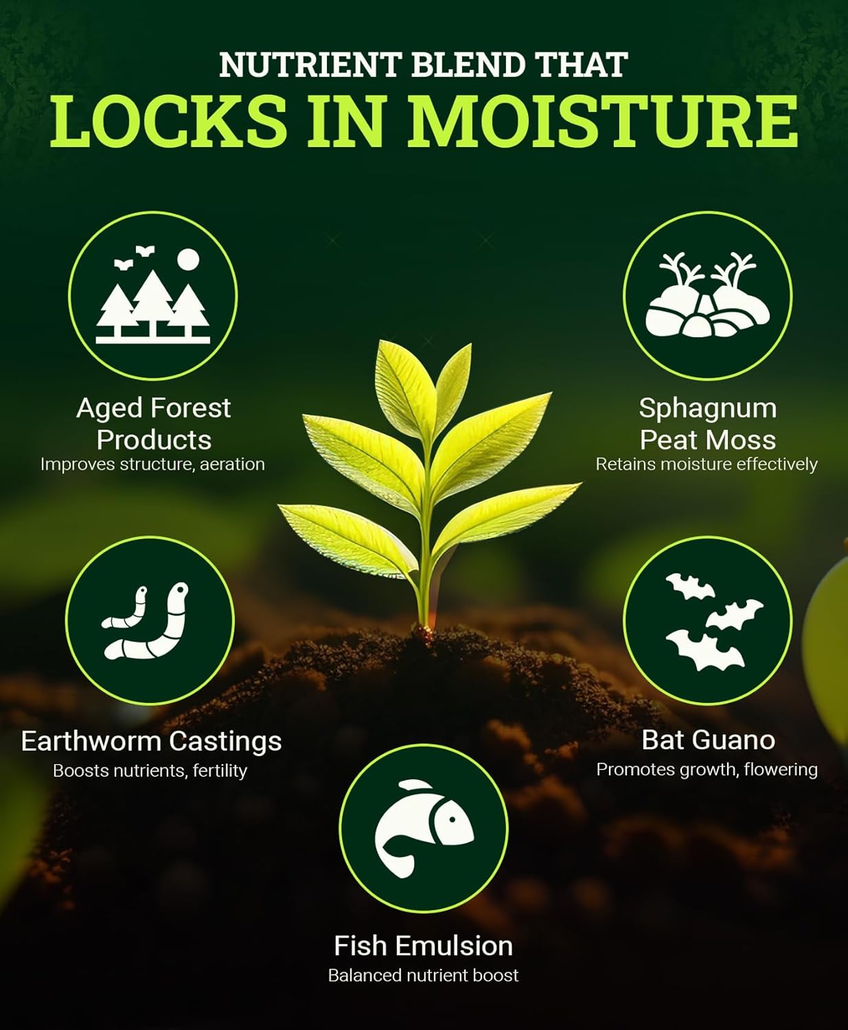 FoxFarm Ocean Forest Potting Soil, 12qt – Light, Aerated Texture, Designed for All Container Plants – pH Adjusted for Optimal Nutrient Uptake, Effectively Retains Moisture (12 Quart (1 Pack))
