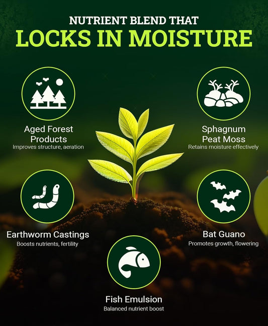 FoxFarm Ocean Forest Potting Soil, 12qt – Light, Aerated Texture, Designed for All Container Plants – pH Adjusted for Optimal Nutrient Uptake, Effectively Retains Moisture (12 Quart (1 Pack))