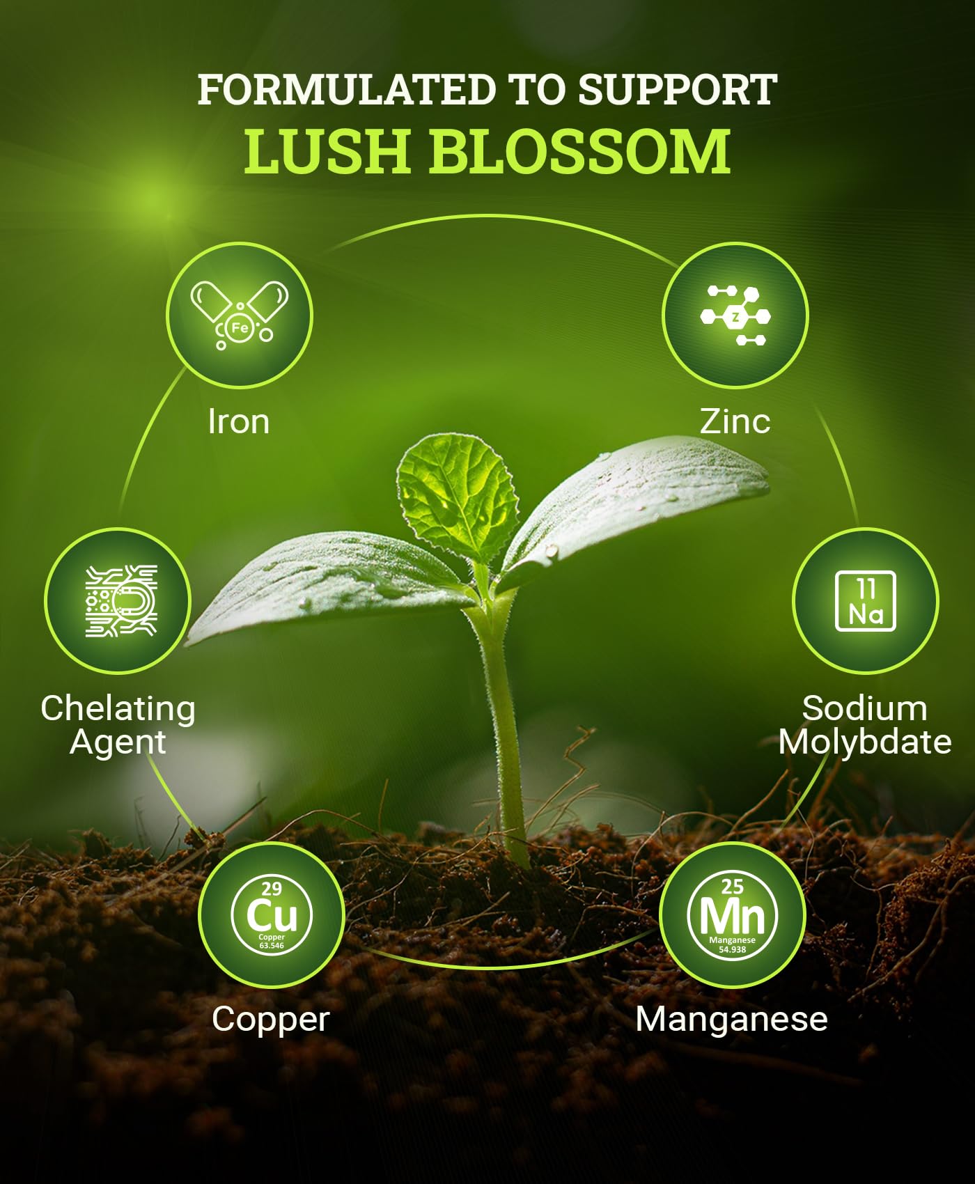 FoxFarm Beastie Bloomz Soluble Fertilizer - High-Phosphorus Fertilizer for Mid to Late Flowering, pH Balanced - Supports Blossom Development, NPK 0-5-3 (6 oz)