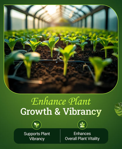 FoxFarm Cultivation Nation Micro Liquid Plant Food