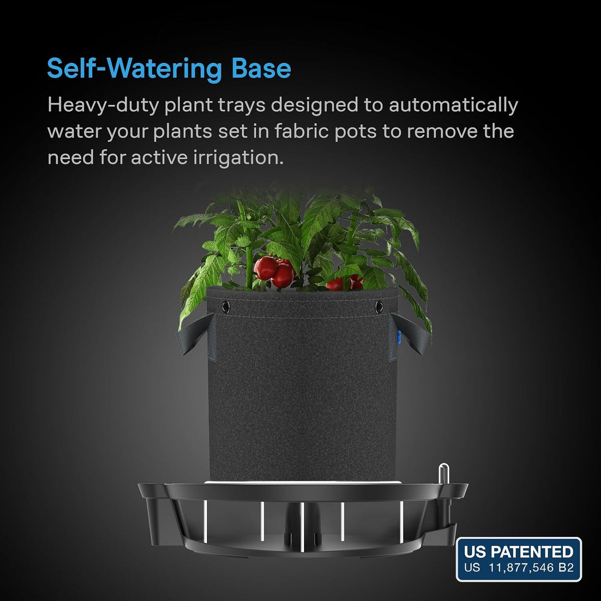 AC Infinity Self-Watering Pot Bases, Standard and XL Options