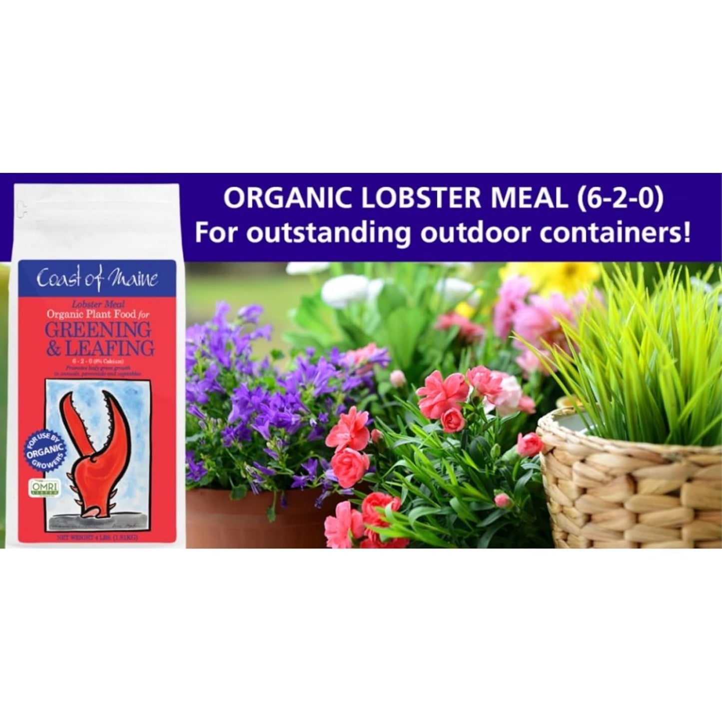 Coast of Maine Lobster Meal (4lb) Organic Plant Food and Calcium, OMRI Listed - for Green Leafy Growth