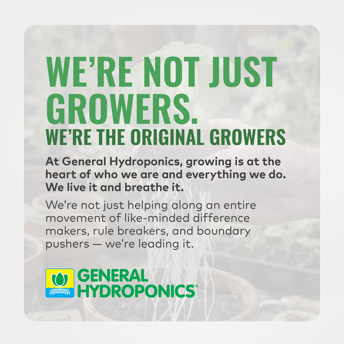 General Hydroponics pH Adjusters, Up and Down Options
