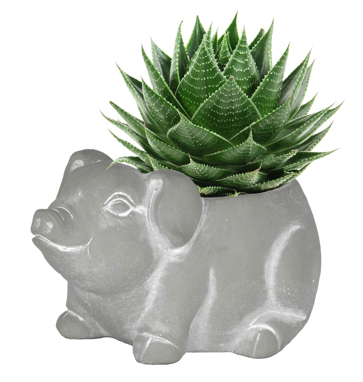 Classic Home and Garden Cement Buddies Animal Planter - Cute Desk Decoration - UV Coated Animal Vase w/Removable Drain Plug - Succulent Planter for Indoor/Outdoor Use (Bird Planter, Rust, Large)