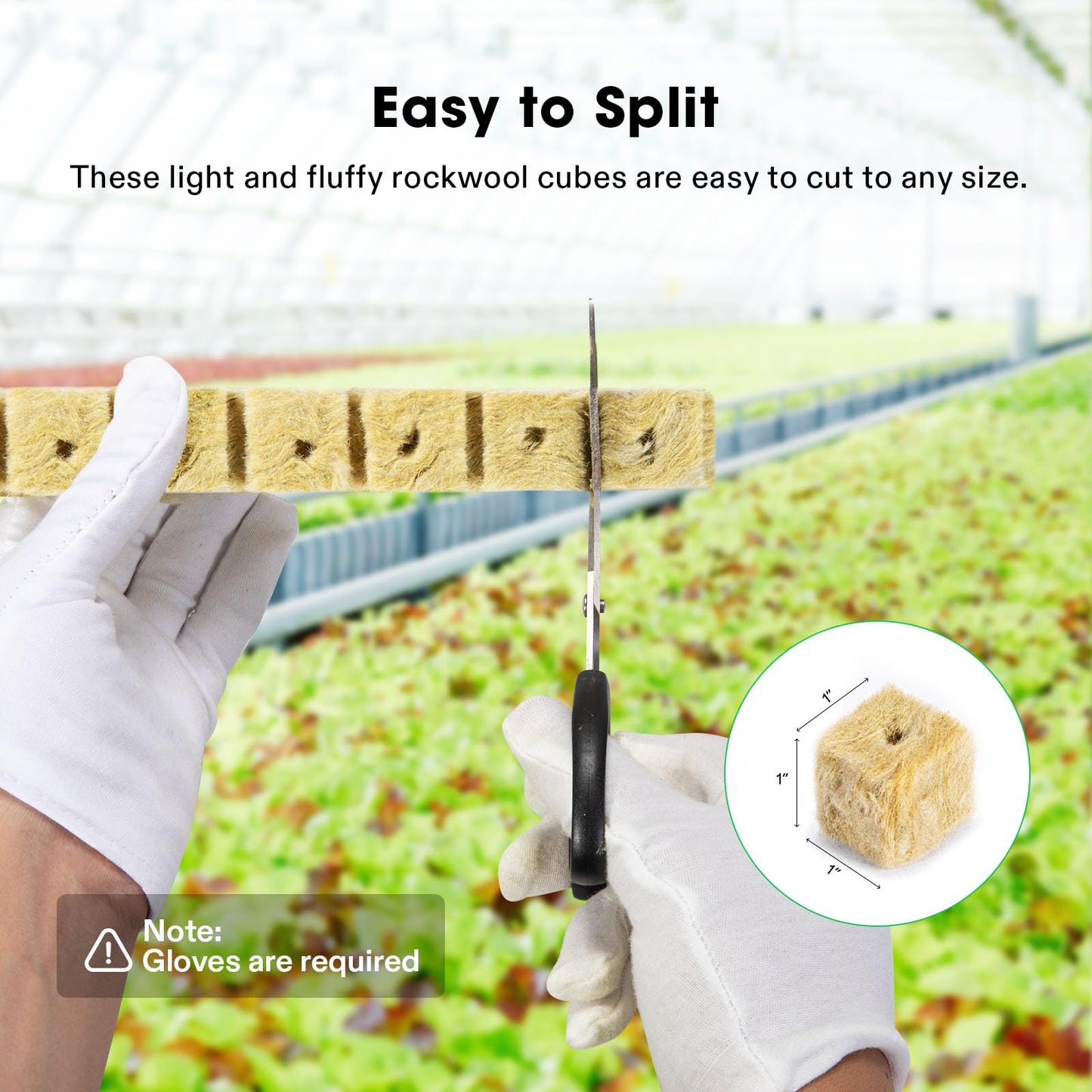 VIVOSUN 1 Inch Rockwool Cubes, Grow Cubes for Hydroponics, Cuttings, Cloning, Plant Propagation, Seed Startling, 2 Sheets 100 Plugs