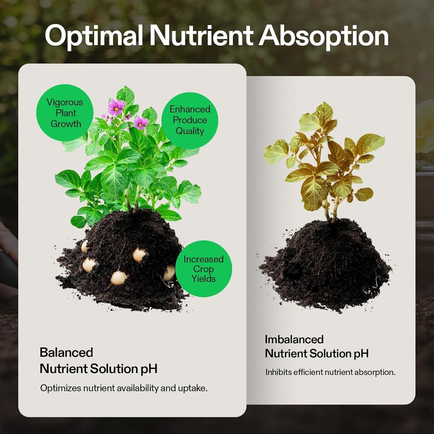 VIVOSUN pH Up & pH Down Kit, 1 Quart Each, pH Control Kit for Balanced pH Level and Optimal Nutrient Uptake, pH Adjuster Liquid Fertilizer for All Plants and All Growing Systems