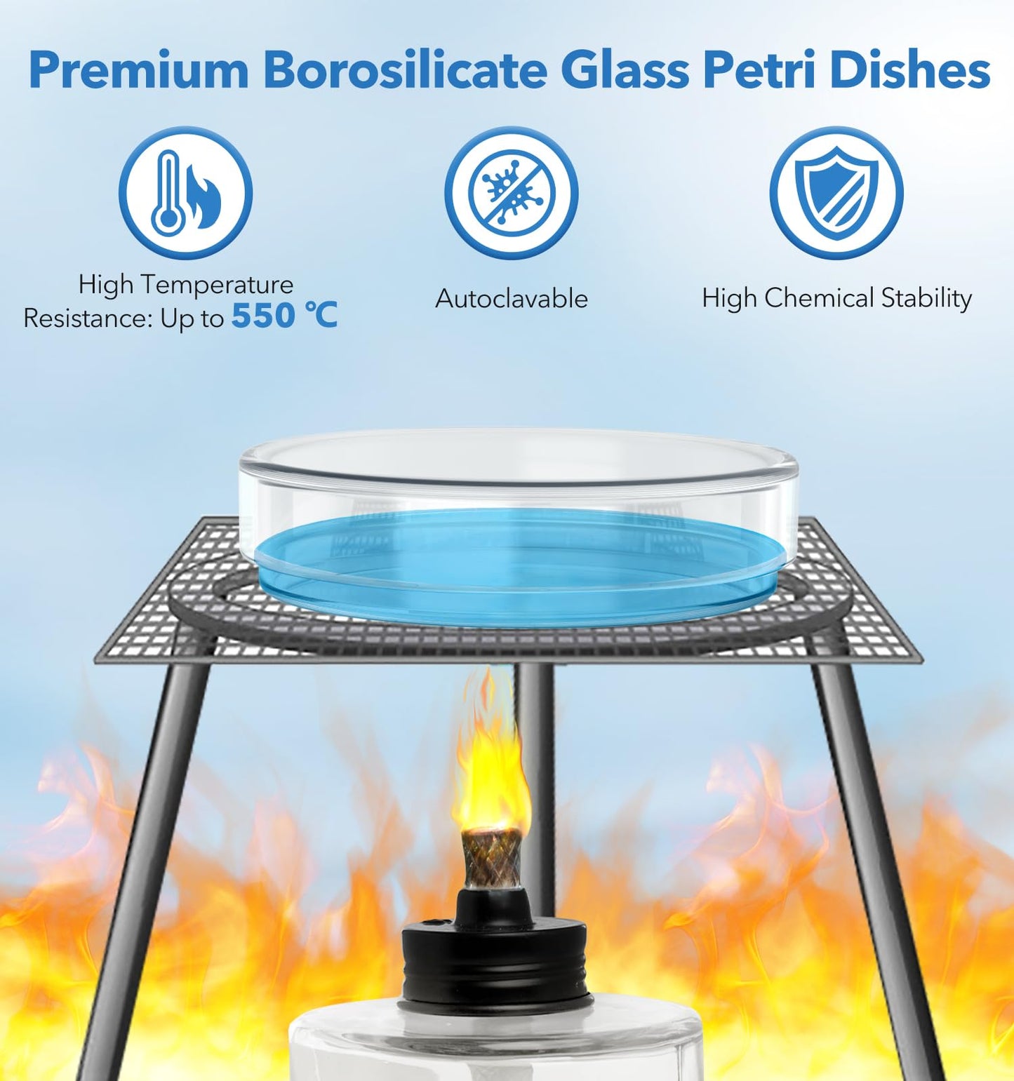 FOUR E'S SCIENTIFIC 60mm Glass Petri Dishes with Lids, High Borosilicate Glass Culture Dishes for Laboratory, Science Project, School, Pack of 5