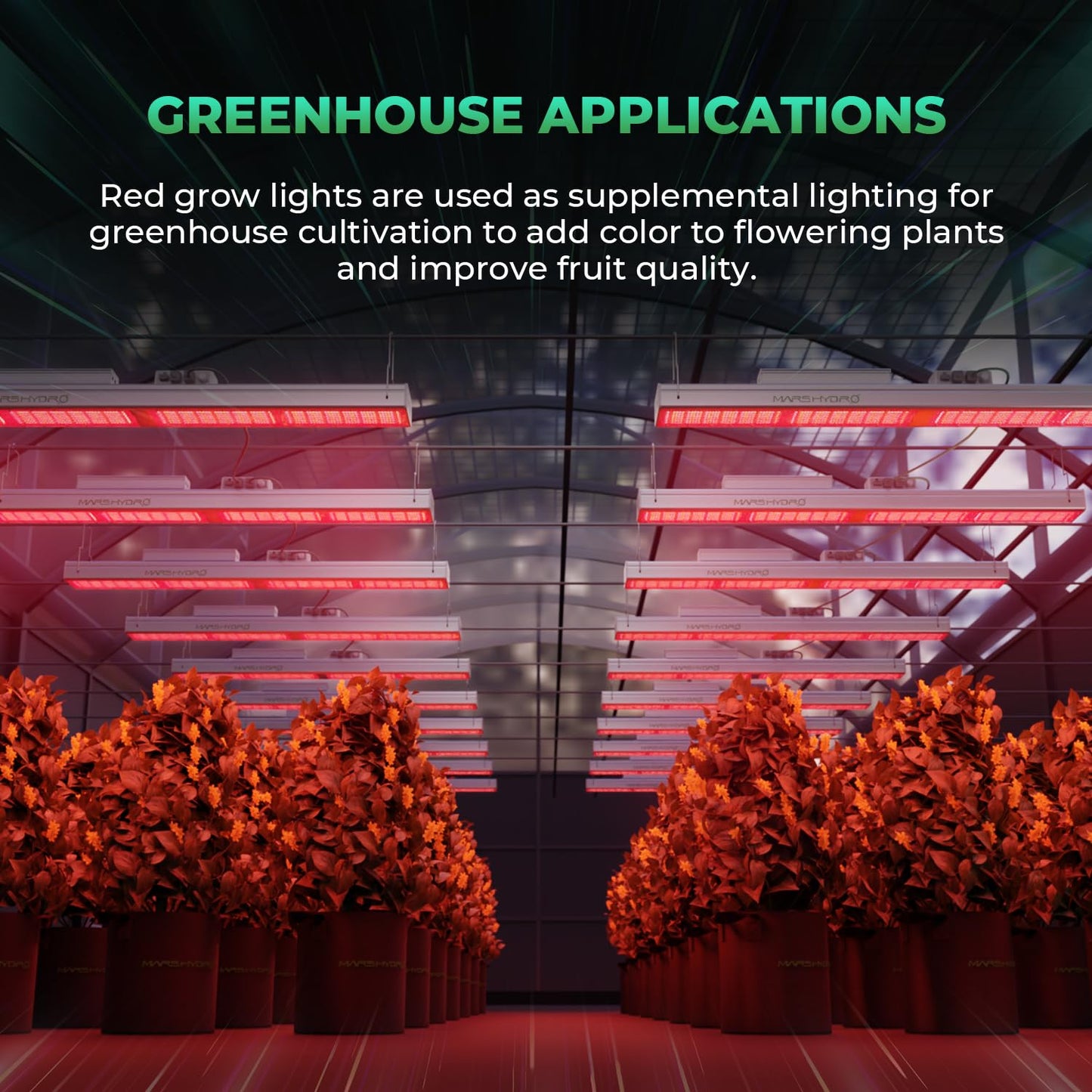 MARS HYDRO SP3000R, Red Grow Lights for Greenhouse, Supplemental 650-665NM, 2x4 Coverage, Dimmable, IP65 Waterproof, Energy Efficient, Commercial Vertical Farming for Bloom Flower, 300W