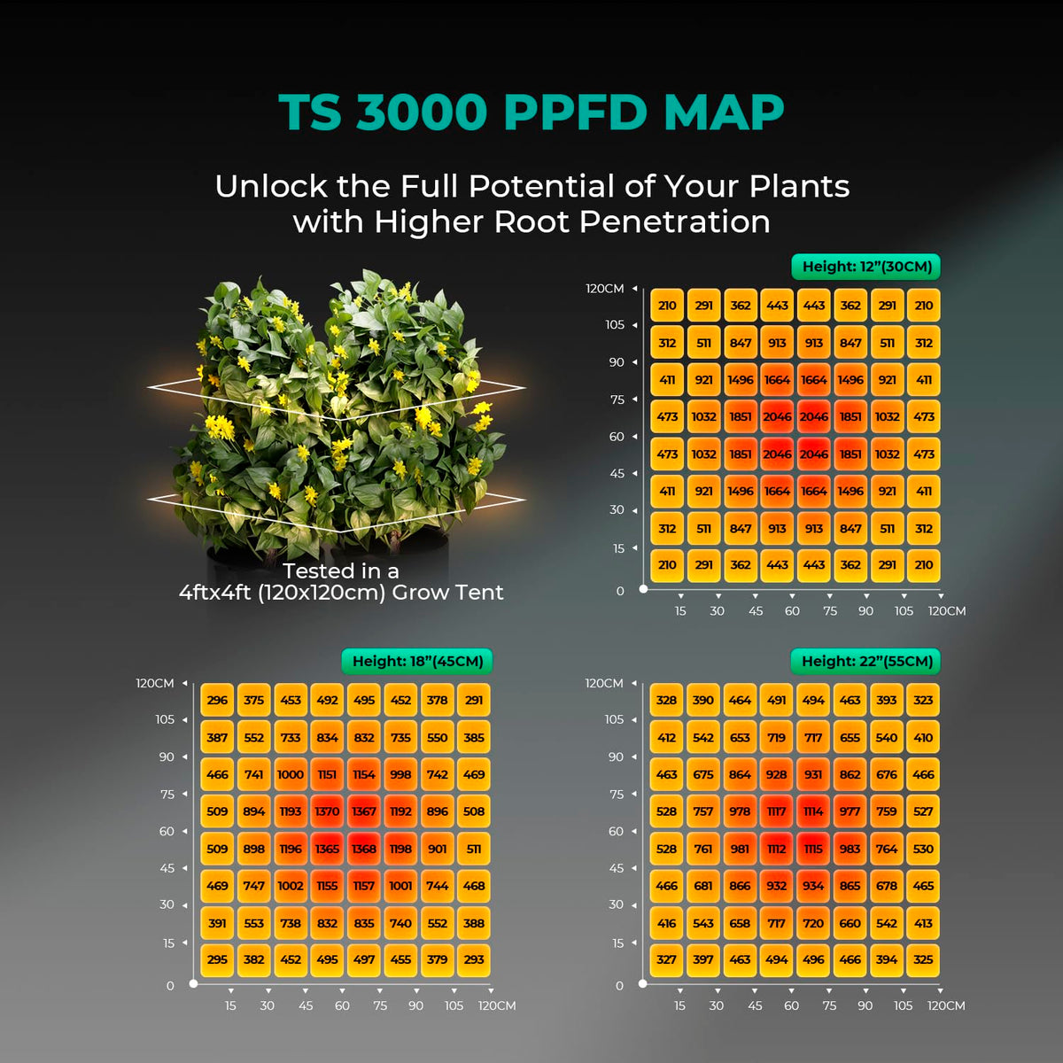 MARS HYDRO LED Grow Lights, Multiple Panel Sizes