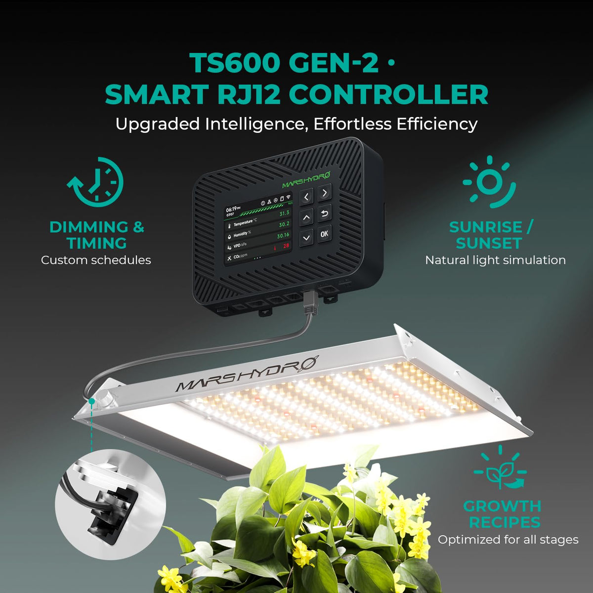 MARS HYDRO LED Grow Lights, Multiple Panel Sizes