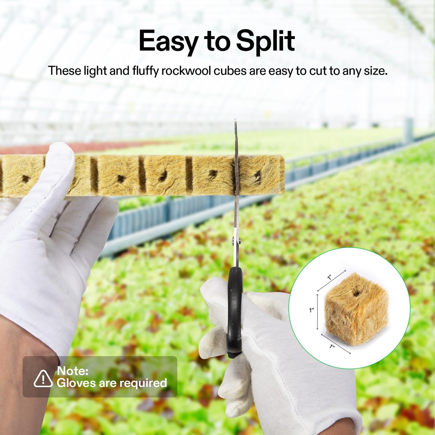 VIVOSUN 1 Inch Rockwool Cubes, Grow Cubes for Hydroponics, Cuttings, Cloning, Plant Propagation, Seed Startling, 2 Sheets 100 Plugs