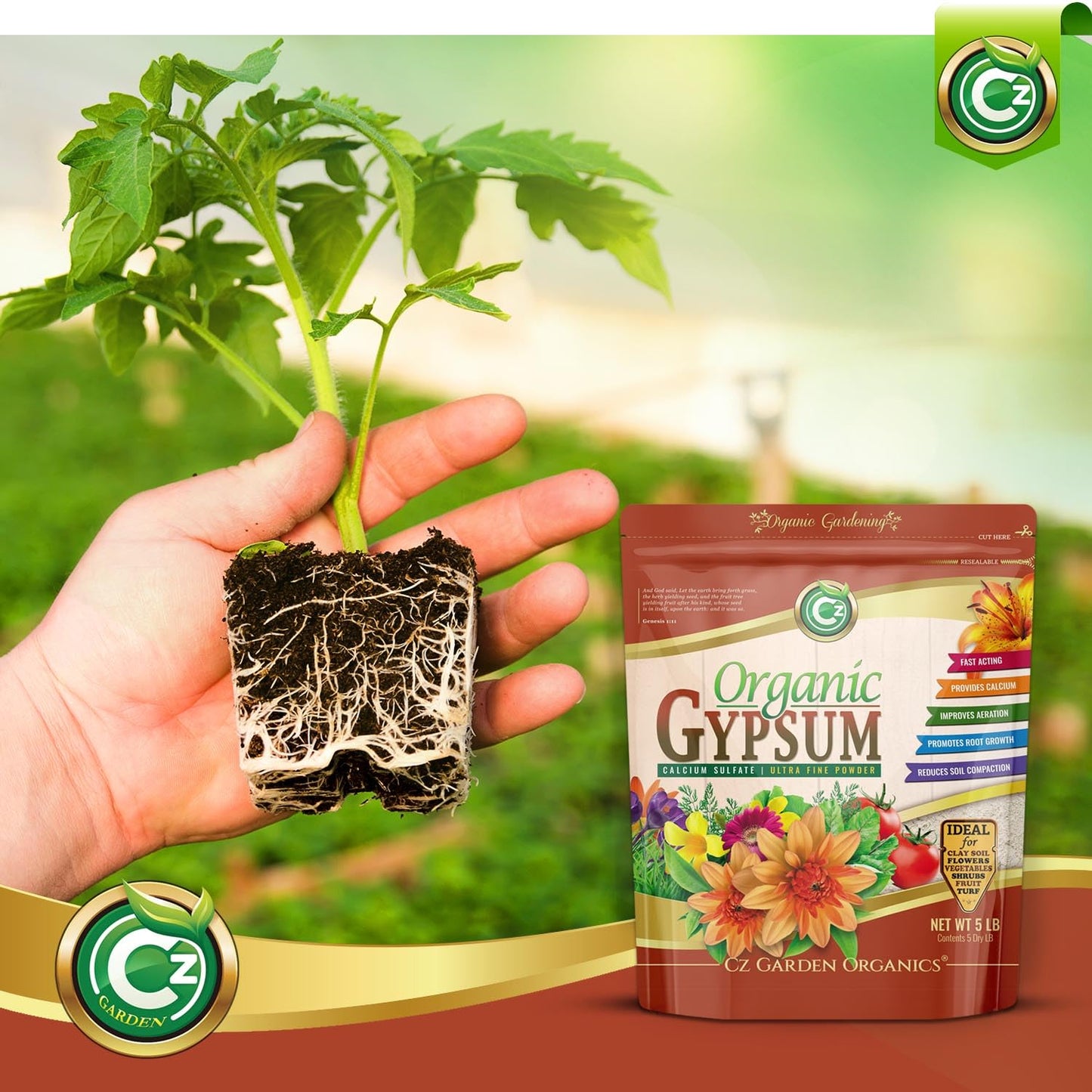 Organic Gypsum Powder 5LB - Made in USA - Calcium Sulfate Dihydrate - Garden Soil Amendment Fertilizer for Lawns, Plants, Mushroom Cultivation. Calcium & Sulfur. Cures Blossom End Rot. OMRI Listed