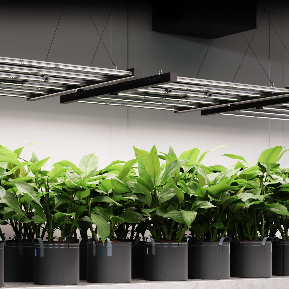 AC Infinity IONFRAME EVO Grow Lights, Multiple Coverage Options