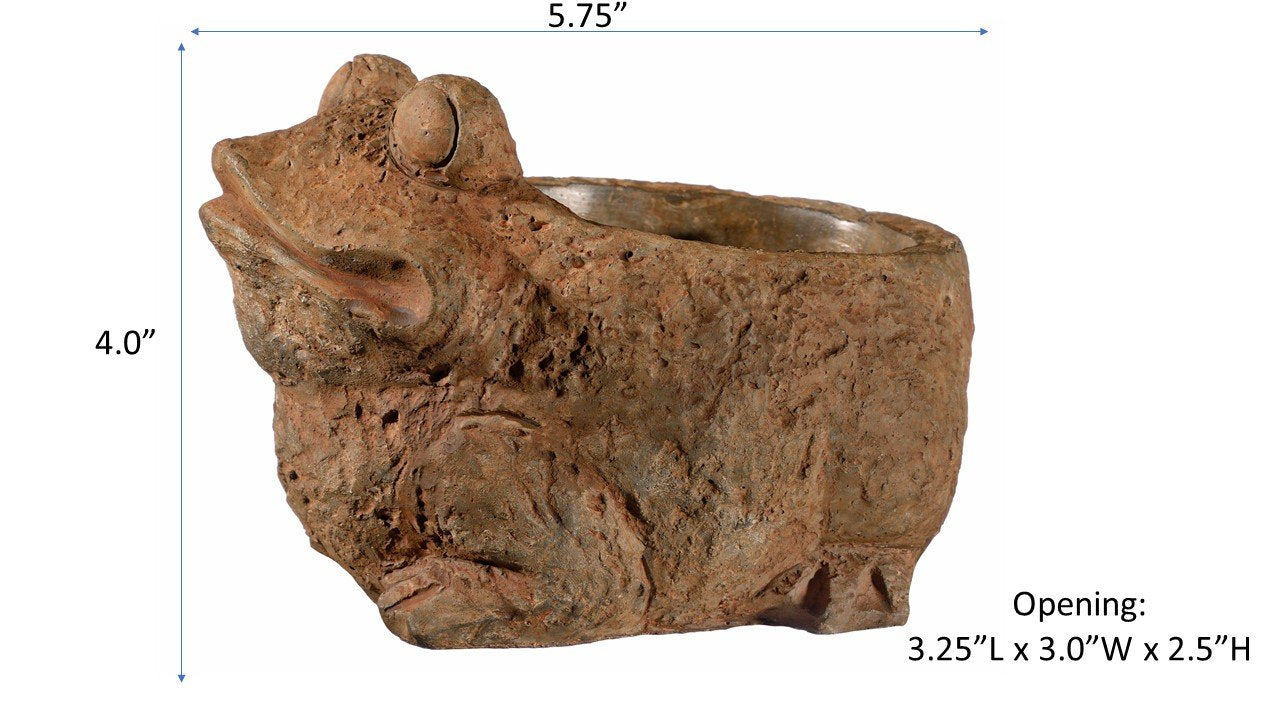 Classic Home and Garden Cement Buddies Animal Planter - Cute Desk Decoration - UV Coated Animal Vase w/Removable Drain Plug - Succulent Planter for Indoor/Outdoor Use (Bird Planter, Rust, Large)