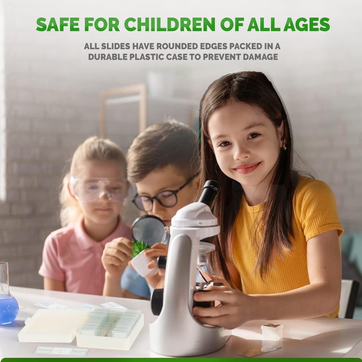 AmScope PS25 Prepared Microscope Slide Set for Basic Biological Science Education, 25 Slides, Includes Fitted Wooden Case Brown