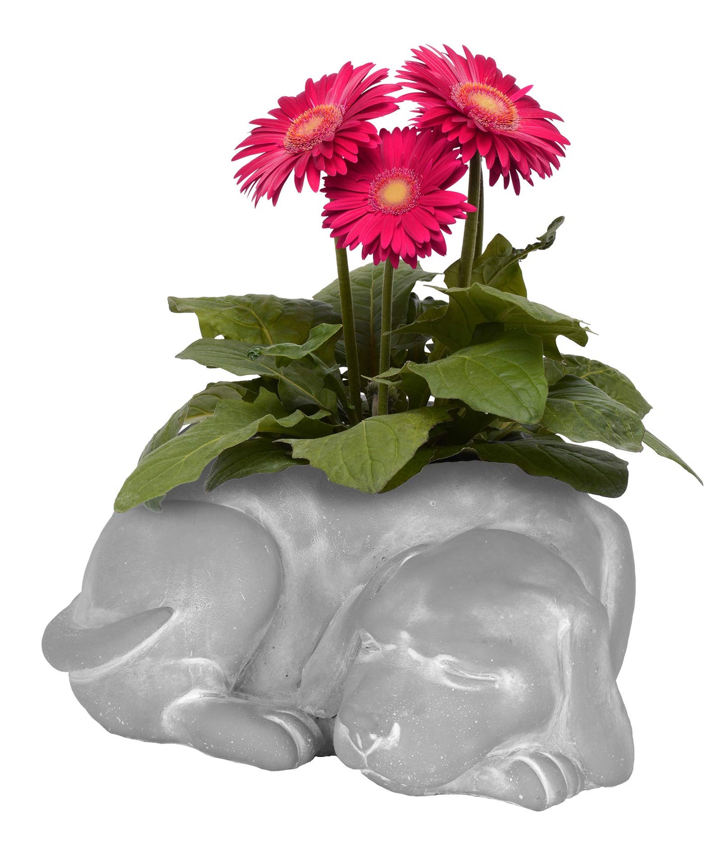 Classic Home and Garden Cement Buddies Animal Planter - Cute Desk Decoration - UV Coated Animal Vase w/Removable Drain Plug - Succulent Planter for Indoor/Outdoor Use (Bird Planter, Rust, Large)