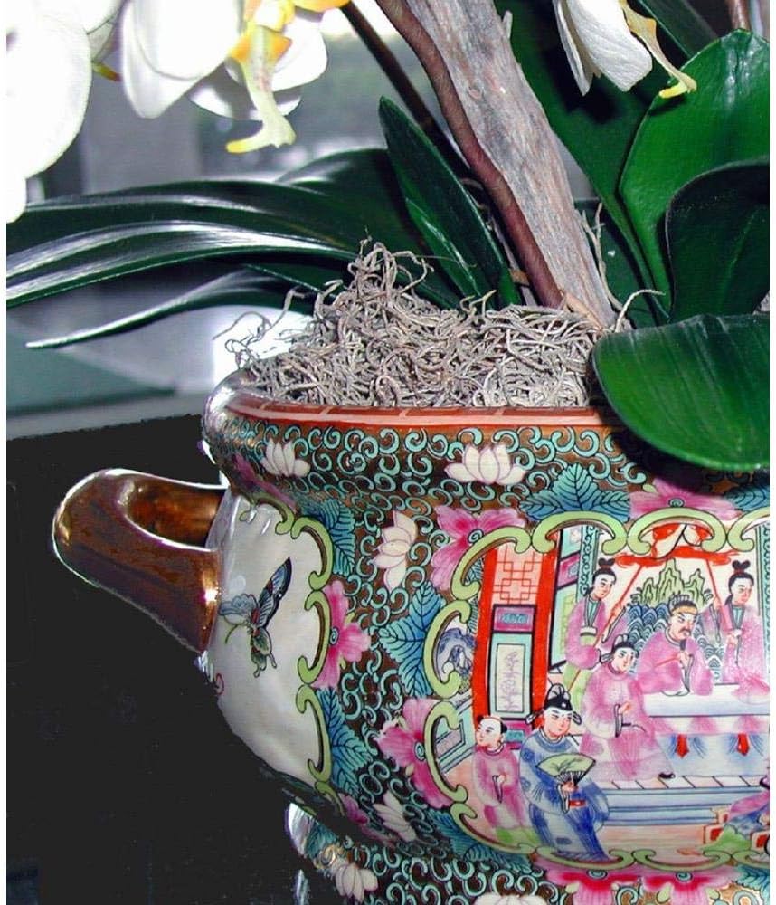 Mosser Lee ML0560 Spanish Moss, 250 Cubic Inches