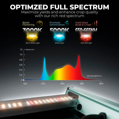 MARS HYDRO FC Series LED Grow Lights