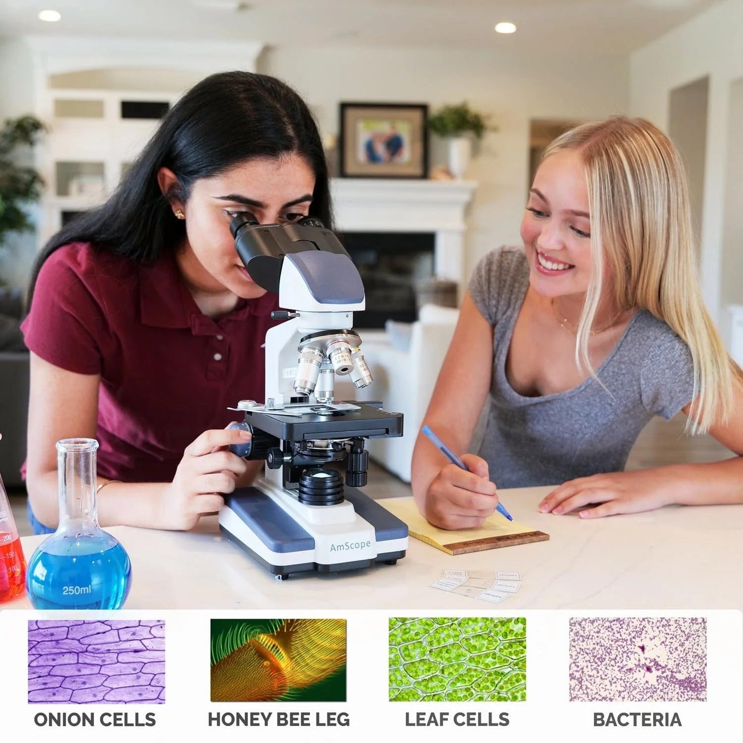 AmScope B120 Series Student & Professional LED Binocular Compound Microscope - 40X-2500X Magnification - Includes 5MP USB Camera & Siedentopf Head