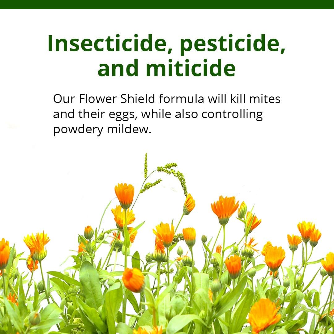 Humboldts Secret Flower Shield – Plant and Flower Protection – Healthy Treatment for Pests and Fungus (2 Oz) w/Grow Room Glasses | Interchangeable Magnetic Sunglasses with UVA/UVB Blocking Protection