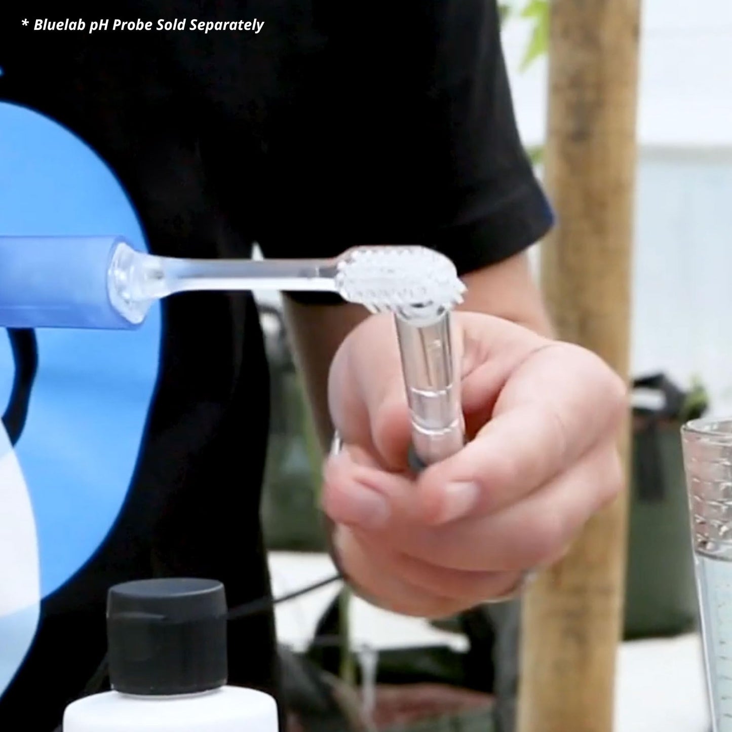 Bluelab CAREKITPH pH Probe Care Kit with Calibration Solution, Storage Solution, and Brush, used for pH Pen, Meter, Monitor, Controller and Tools for Hydroponic System and Indoor Plant Grow