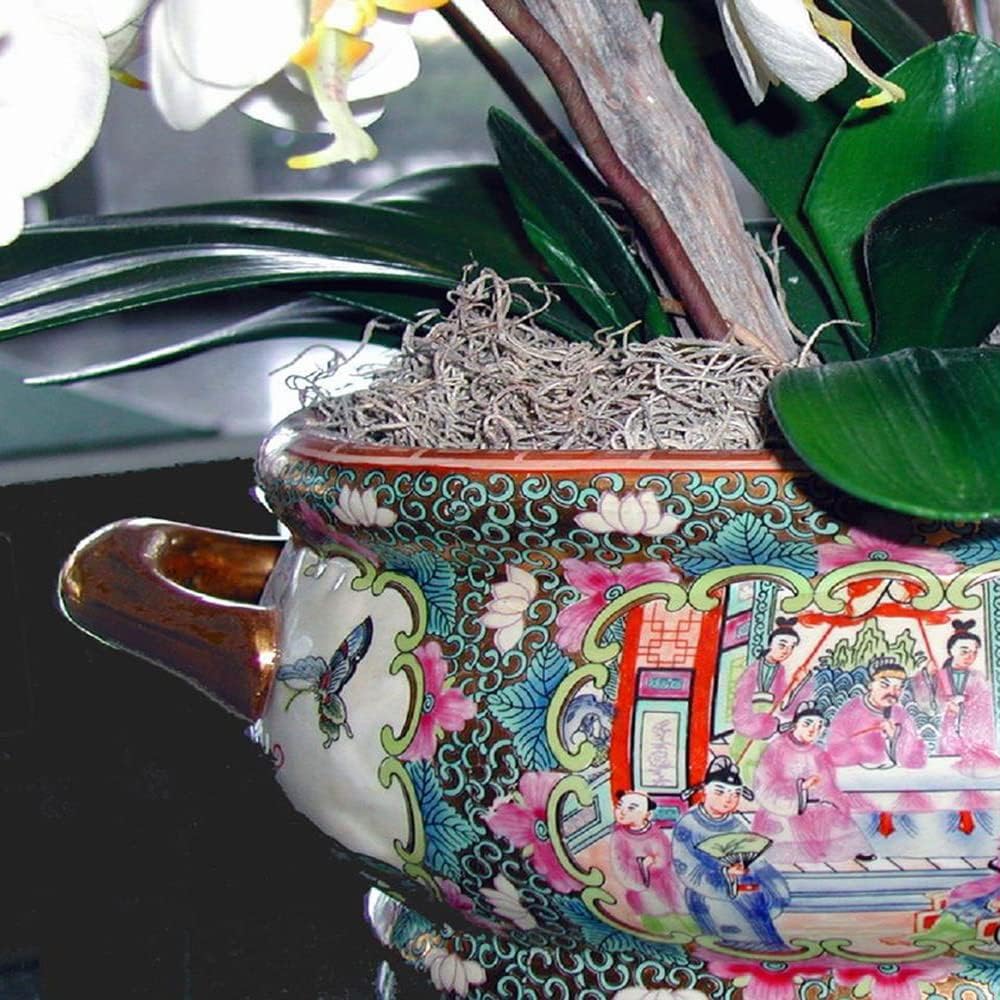 Mosser Lee ML0560 Spanish Moss, 250 Cubic Inches