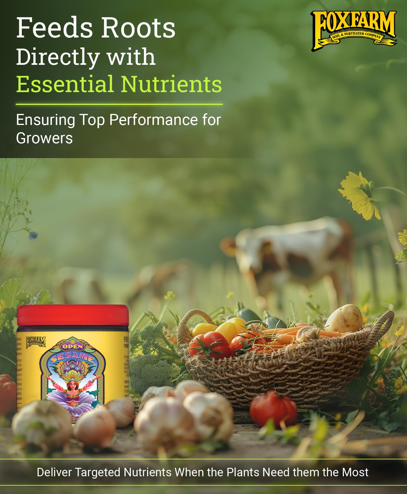 FoxFarm Open Sesame Soluble Fertilizer, High-Phosphorus Fertilizer for Early Blooming, pH Balanced - Supports Bud Development, NPK 5-45-19 (6 oz)