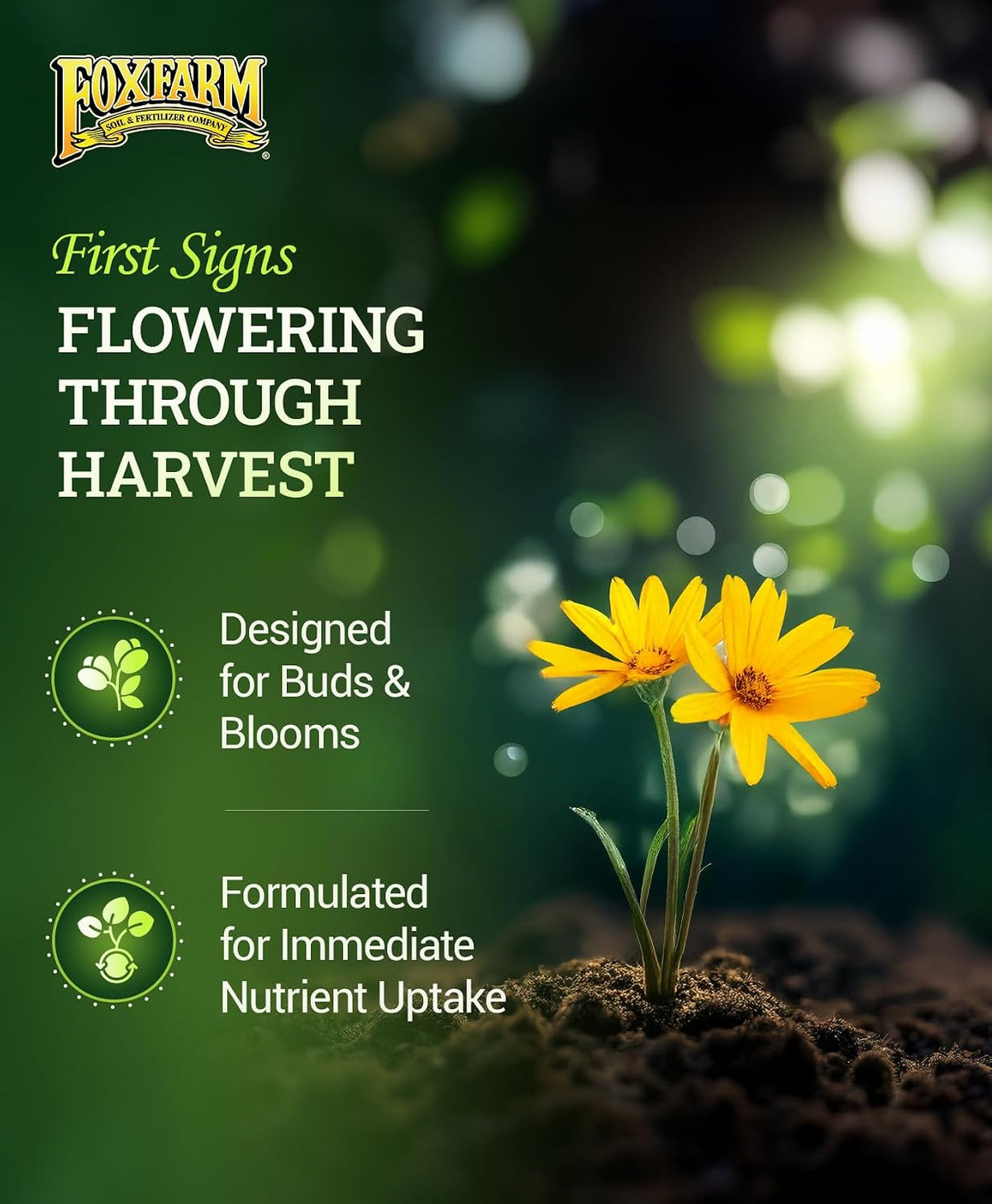 FoxFarm Tiger Bloom Liquid Plant Food