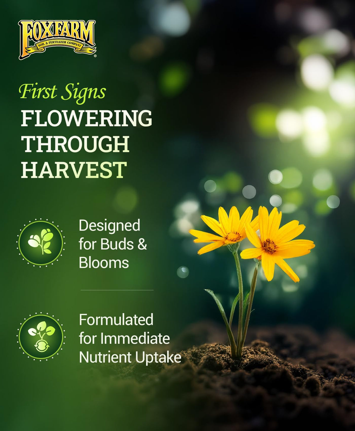 FoxFarm Tiger Bloom Liquid Plant Food