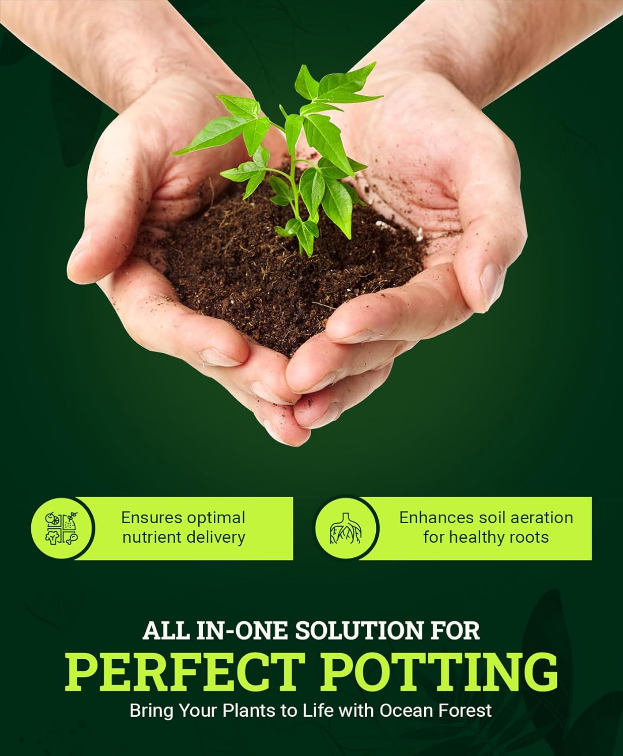 FoxFarm Ocean Forest Potting Soil, 12qt – Light, Aerated Texture, Designed for All Container Plants – pH Adjusted for Optimal Nutrient Uptake, Effectively Retains Moisture (12 Quart (1 Pack))