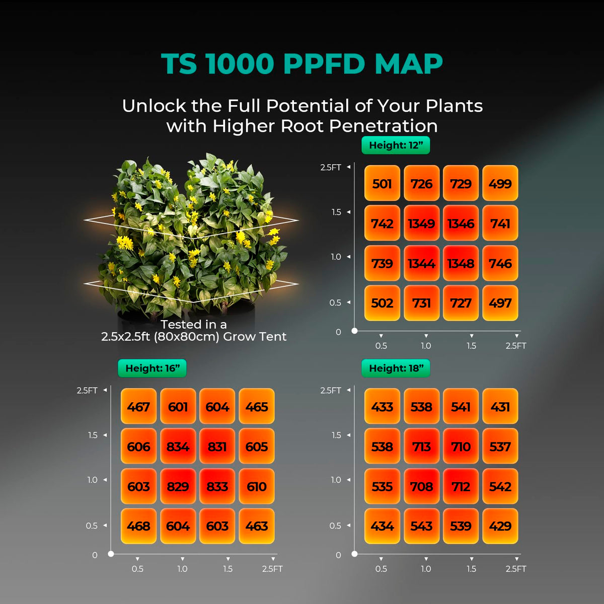 MARS HYDRO LED Grow Lights, Multiple Panel Sizes