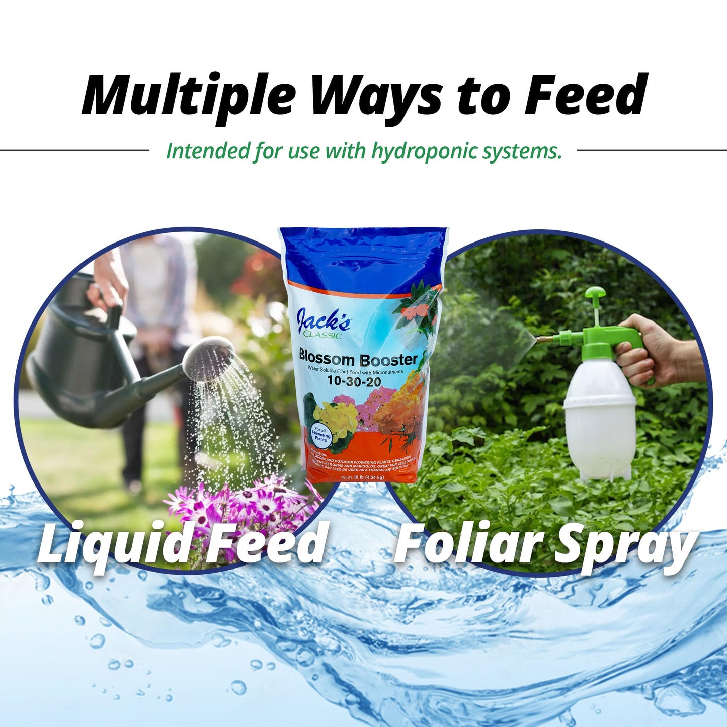 Jack's Classic 10-30-20 Blossom Booster Water-Soluble Fertilizer with Micronutrients for Increasing Color and Quantity of Blooms in Flowering Plants, 8oz